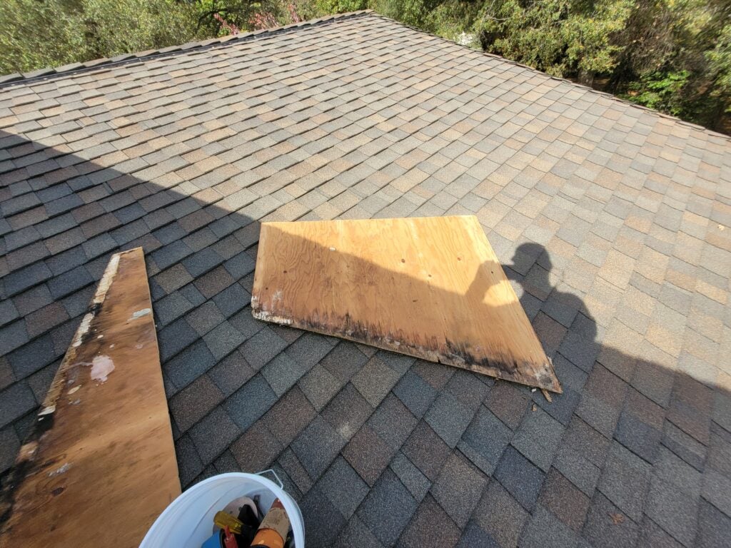 Siding Repair and Roof Moss Removal in Shingle Springs