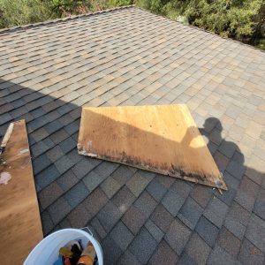 Siding Repair and Roof Moss Removal in Shingle Springs